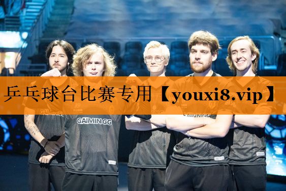 乒乓球台比赛专用