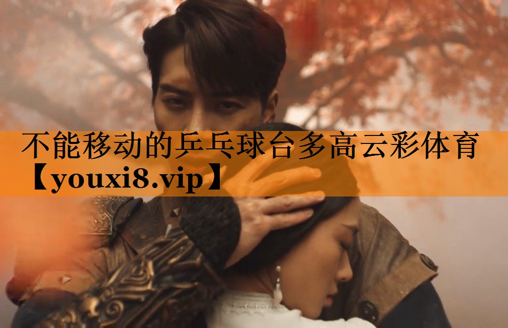 不能移动的乒乓球台多高云彩体育