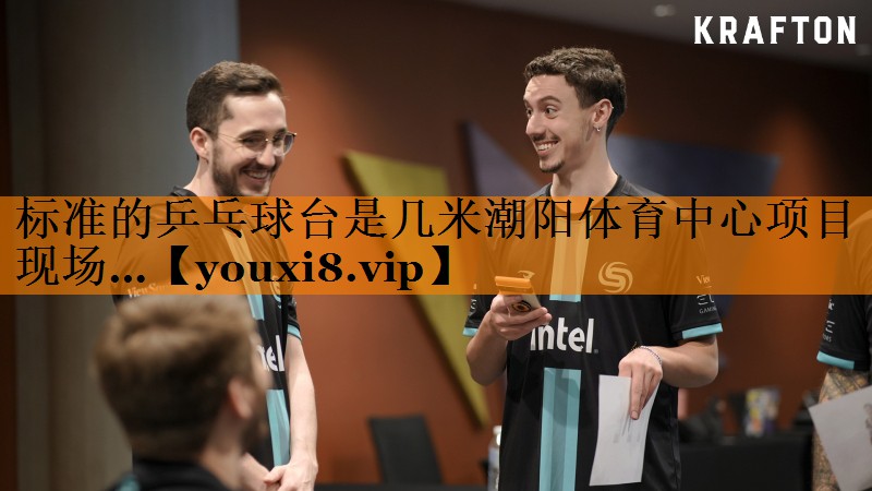 标准的乒乓球台是几米潮阳体育中心项目现场…