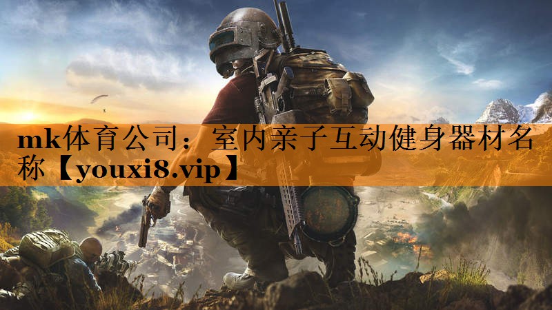 mk体育公司：室内亲子互动健身器材名称