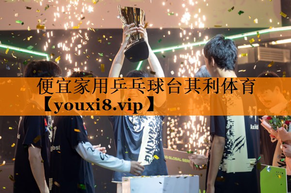 便宜家用乒乓球台其利体育