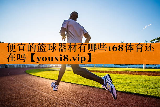 便宜的篮球器材有哪些168体育还在吗