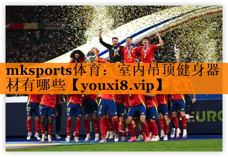 mksports体育：室内吊顶健身器材有哪些