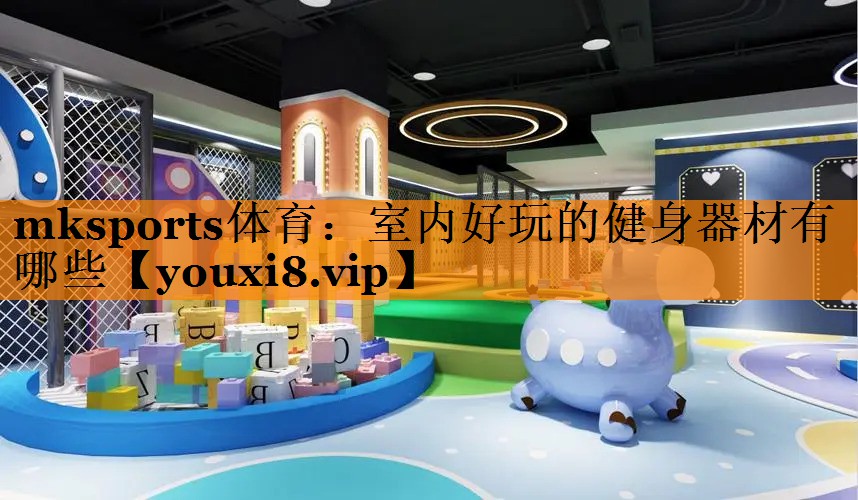 mksports体育：室内好玩的健身器材有哪些